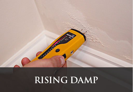Rising Damp