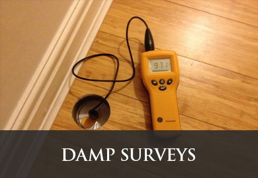 Damp Surveys